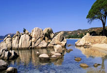 随身wifi代理成新蓝海？揭秘普通人躺赚的管道收益秘籍！